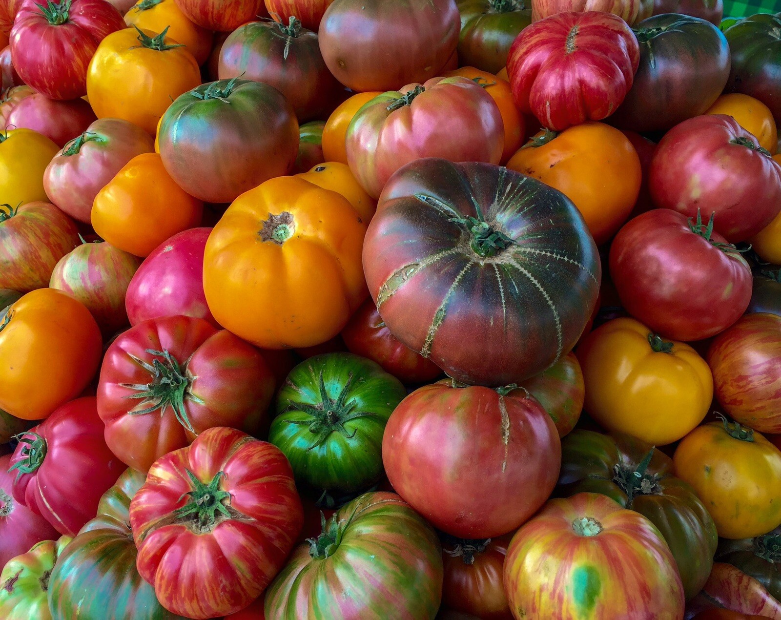 (20) MIXED HEIRLOOM TOMATO MIX Tomato Seeds plants garden