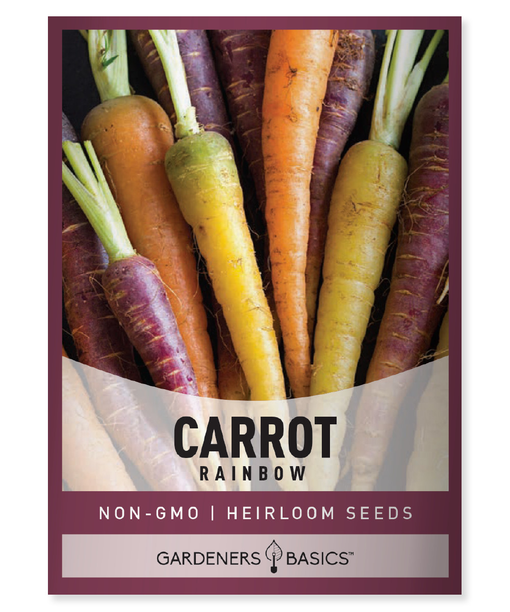 Rainbow Carrot Seeds