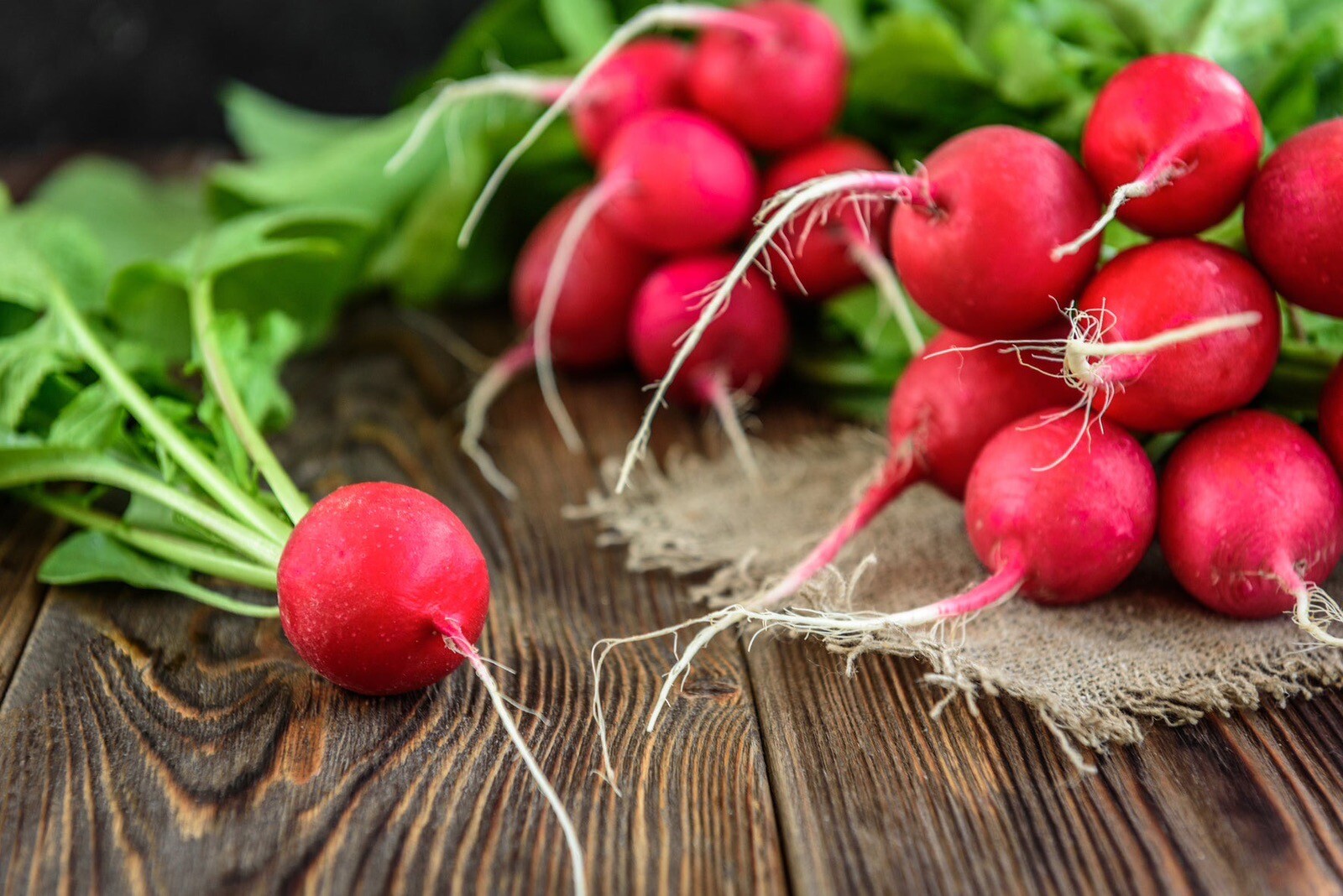 Cherry Belle Radish, 200+ Seeds. Heirloom~Non-GMO~Organic. USA~Free Shipping.