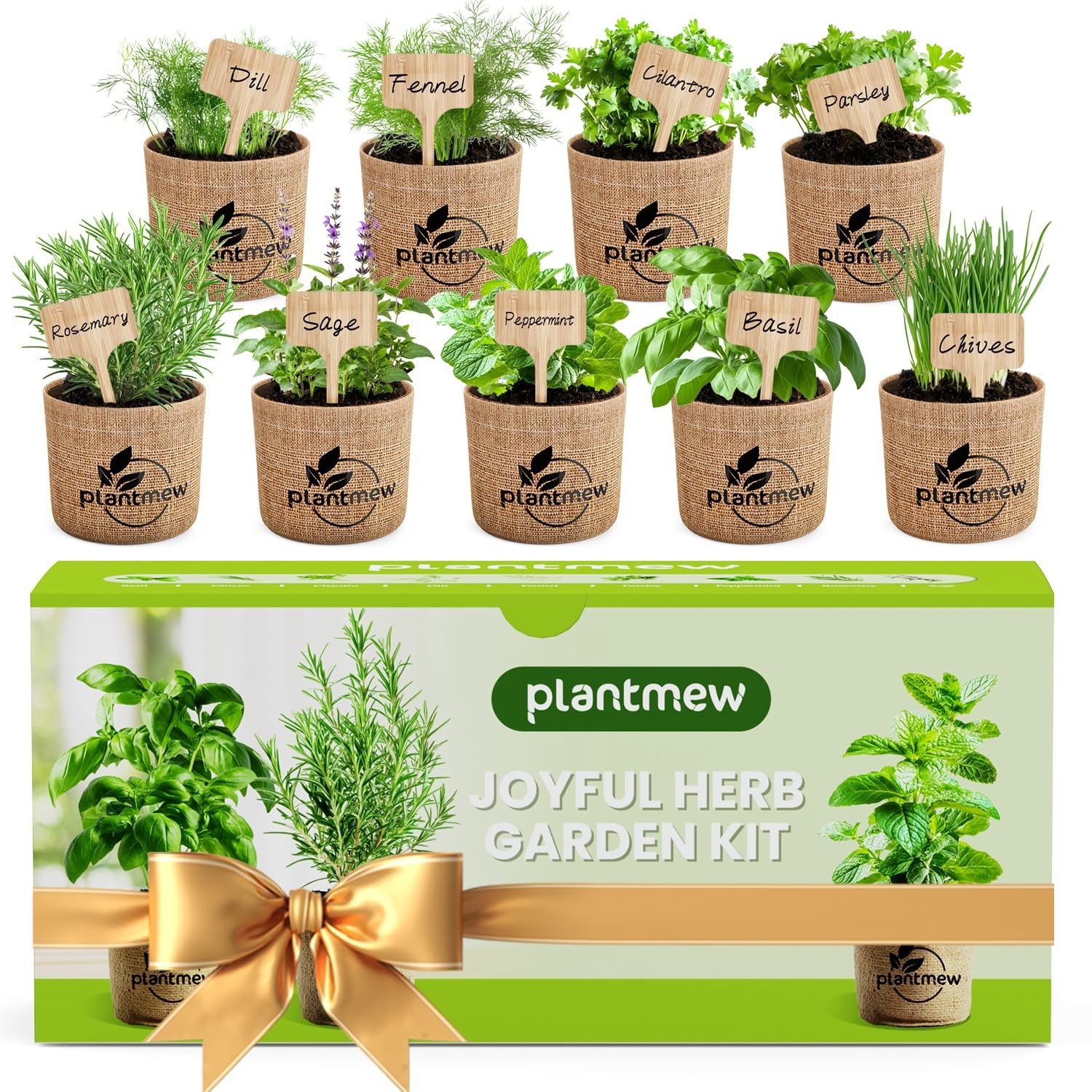 Indoor Herb Garden Kit – 9 Heirloom Seeds, Pots, Soil & Tools | Perfect Gift for