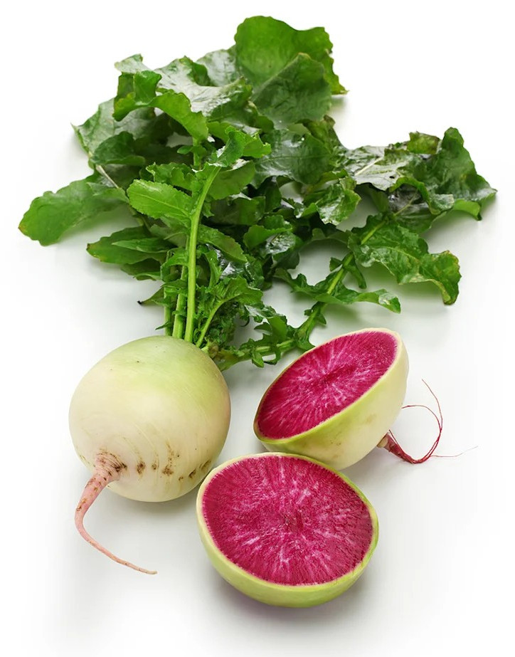 100+ Watermelon Radish Seeds – NON GMO – Heirloom – Organic ————– FRESH