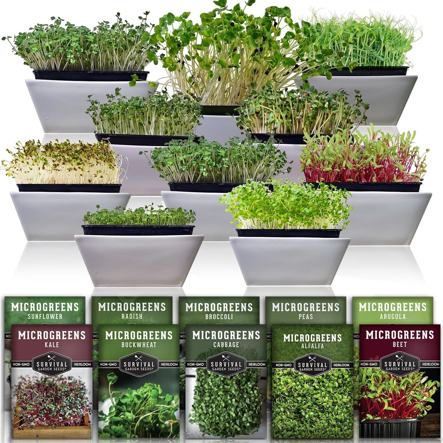 Microgreen Seeds Variety Pack – 10 Heirloom Types for Indoor Sprouting – Broc…