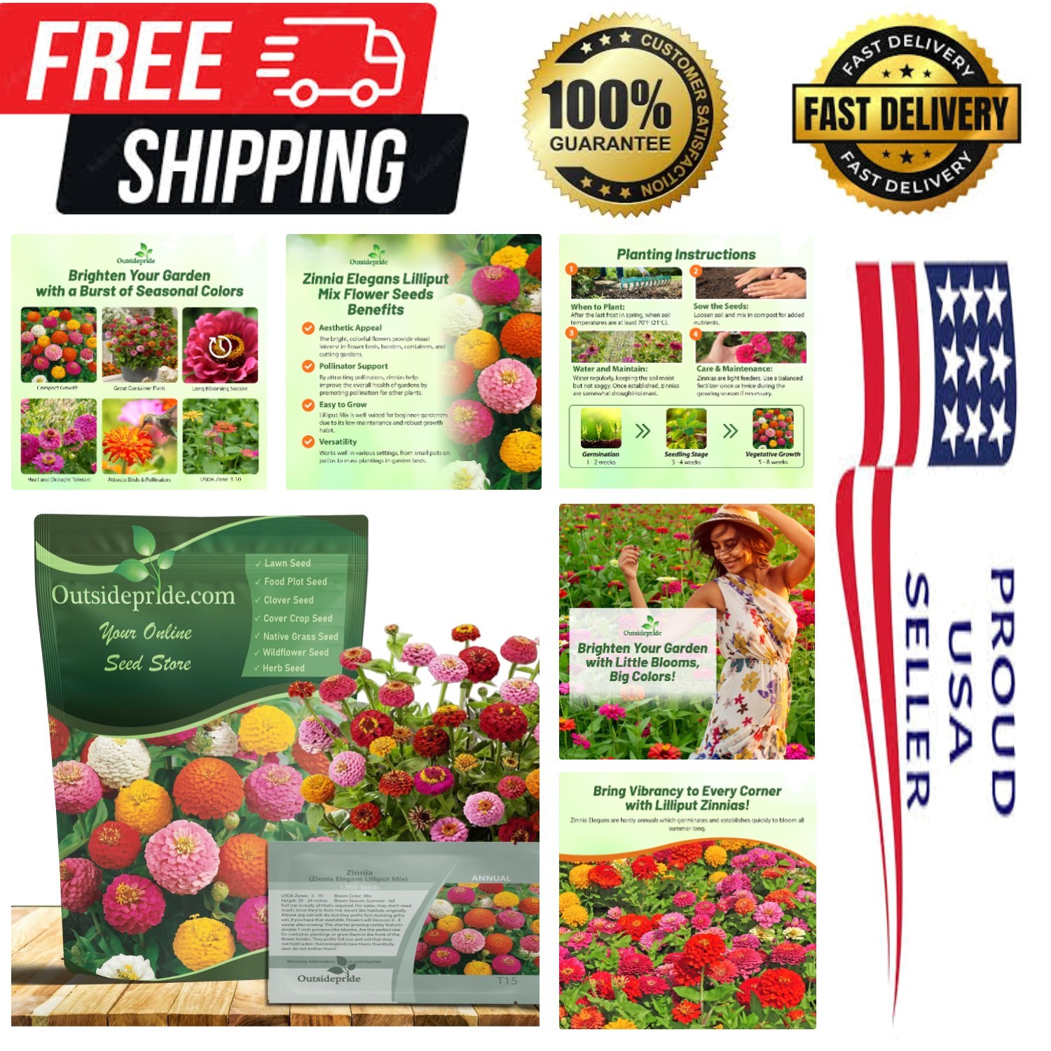 Easy-to-Grow 1000 Pcs Zinnia Seeds: Hardy Annuals for Vibrant Garden Displays
