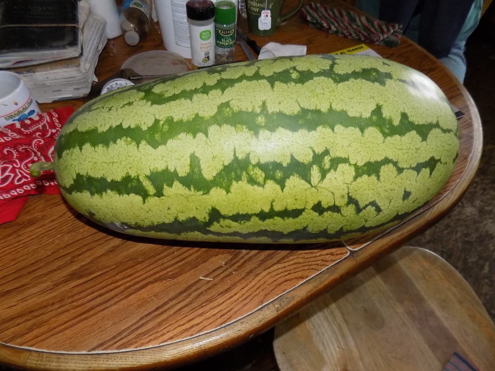 Iowa Grown Organic Striped Watermelon Seeds, NON-GMO, Gumbo Soil Pure 20-35 LBS