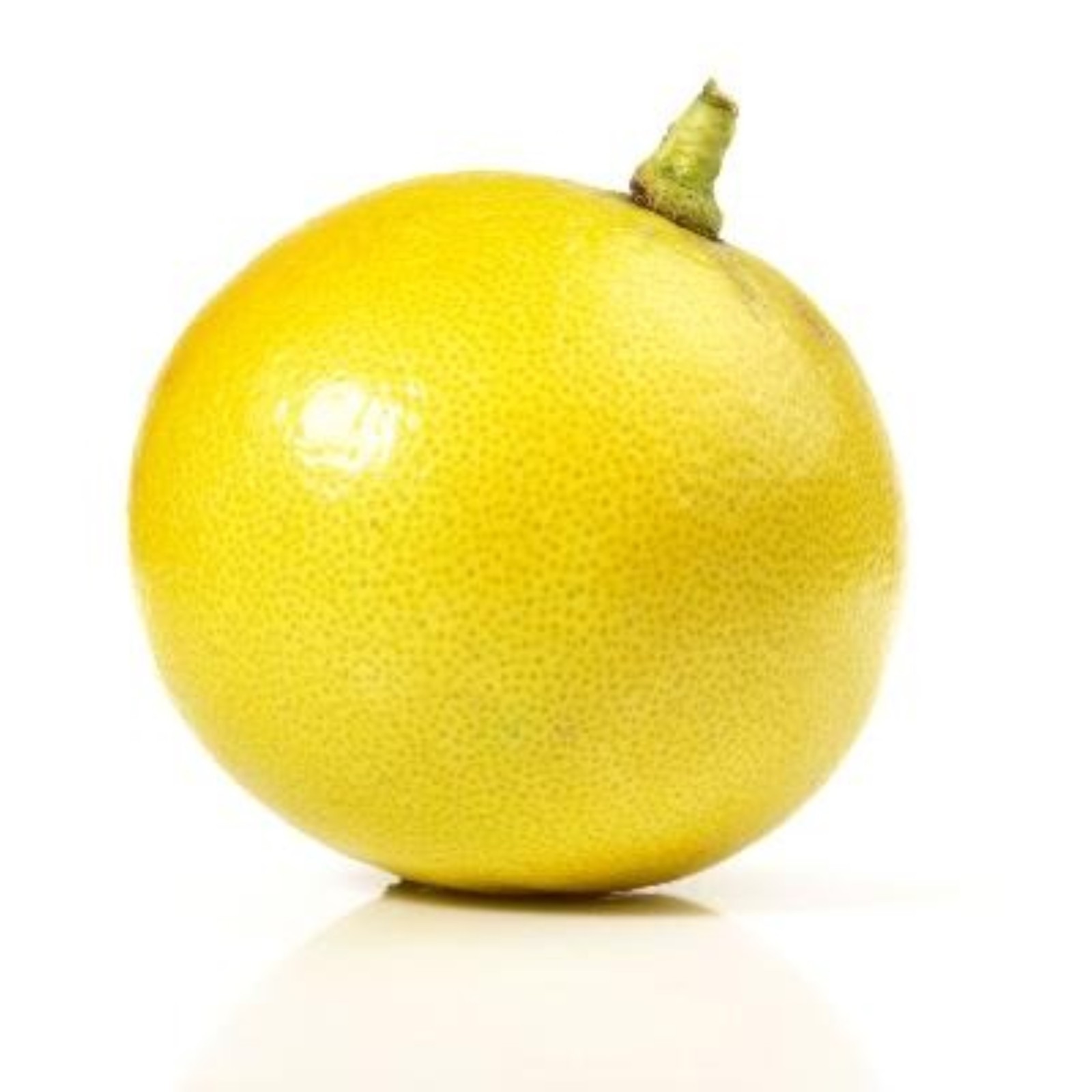 California only! Bergamot Semi-Dwarf Orange Tree 24″-36″ tall, grafted