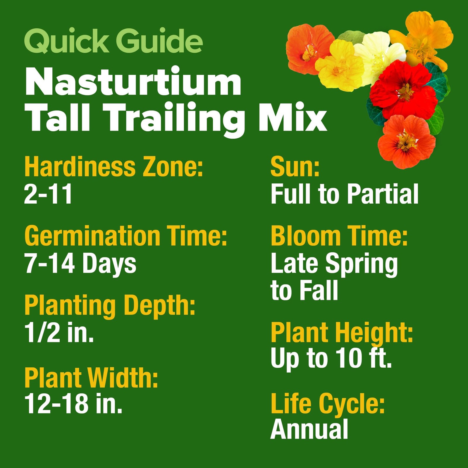 Nasturtium Seeds Dwarf Tall Trailing Mix 250+ Edible Flower Seeds for Plantin…