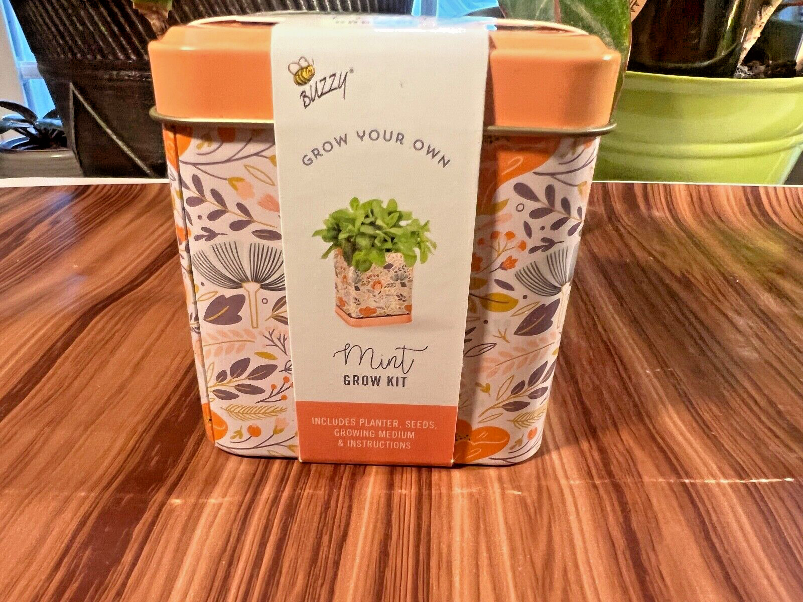 Buzzy Grow Your Own Mint Grow Kit Includes Tin Planter Seeds Growing Medium Herb