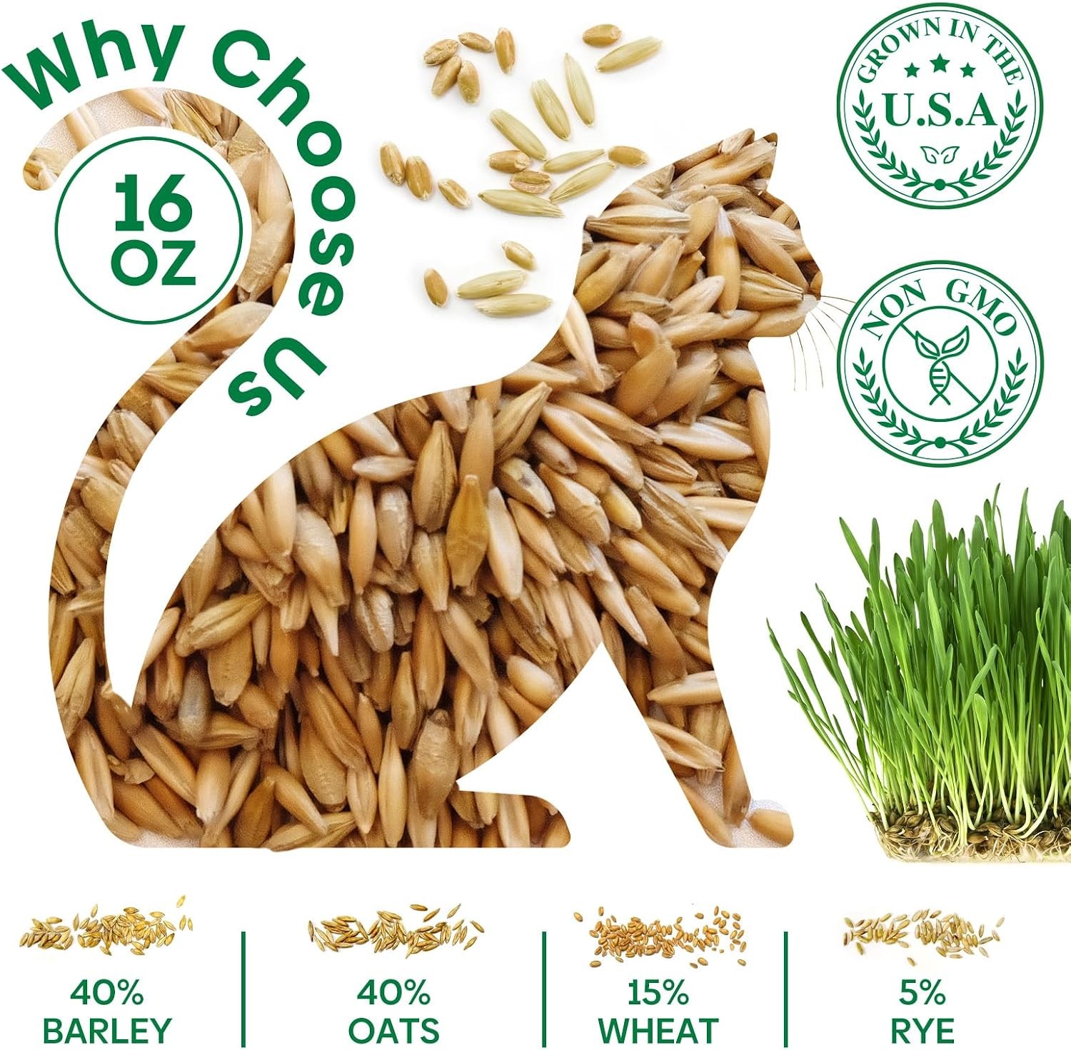 Cat Grass Seeds 16OZ Non-GMO Barley Oats Wheat Rye 4 Varieties Seed Fast & High