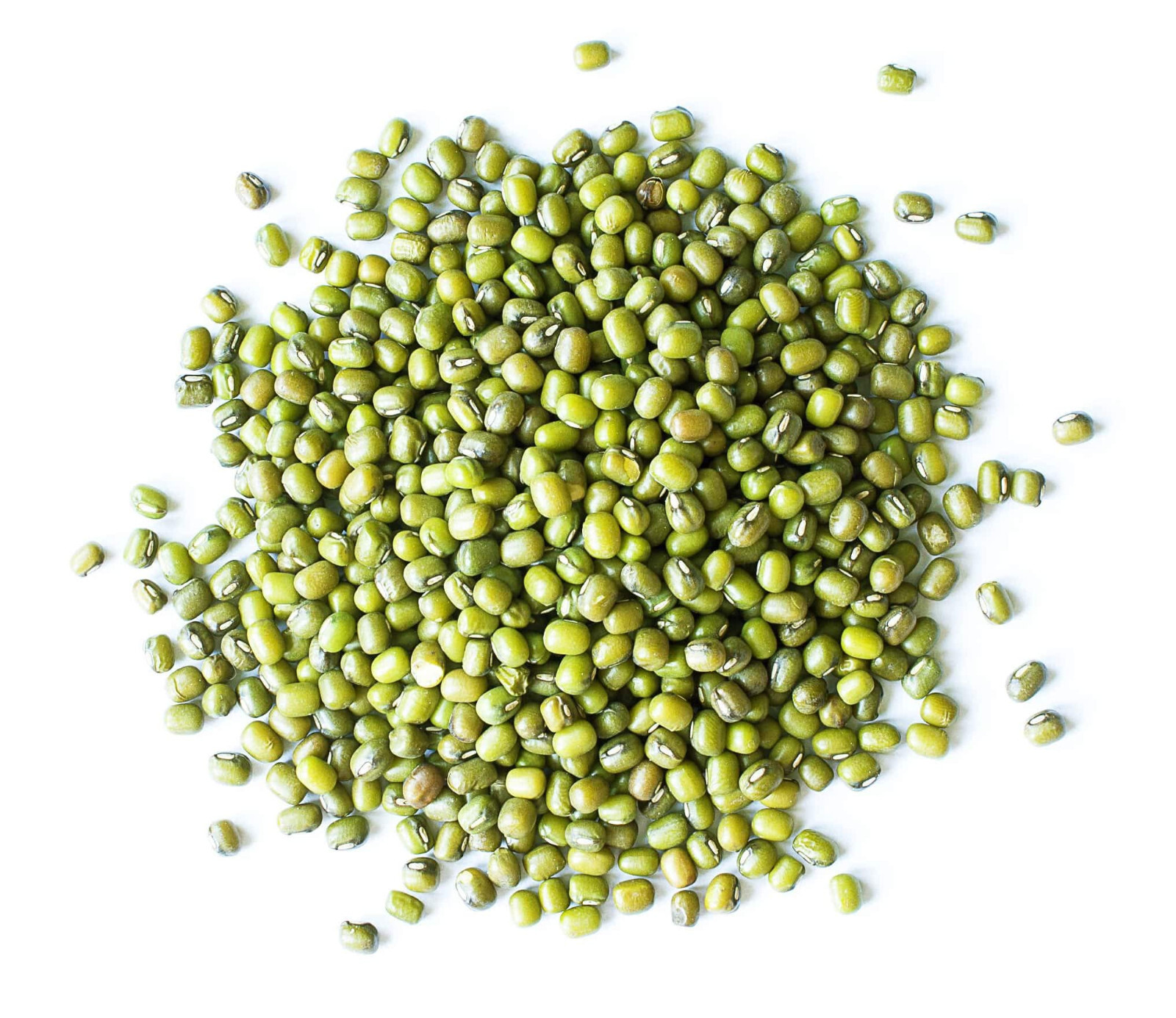 Moong Mung Bean Seeds (200) / ORGANIC / INDIAN / ASIAN CUISINE / RARE