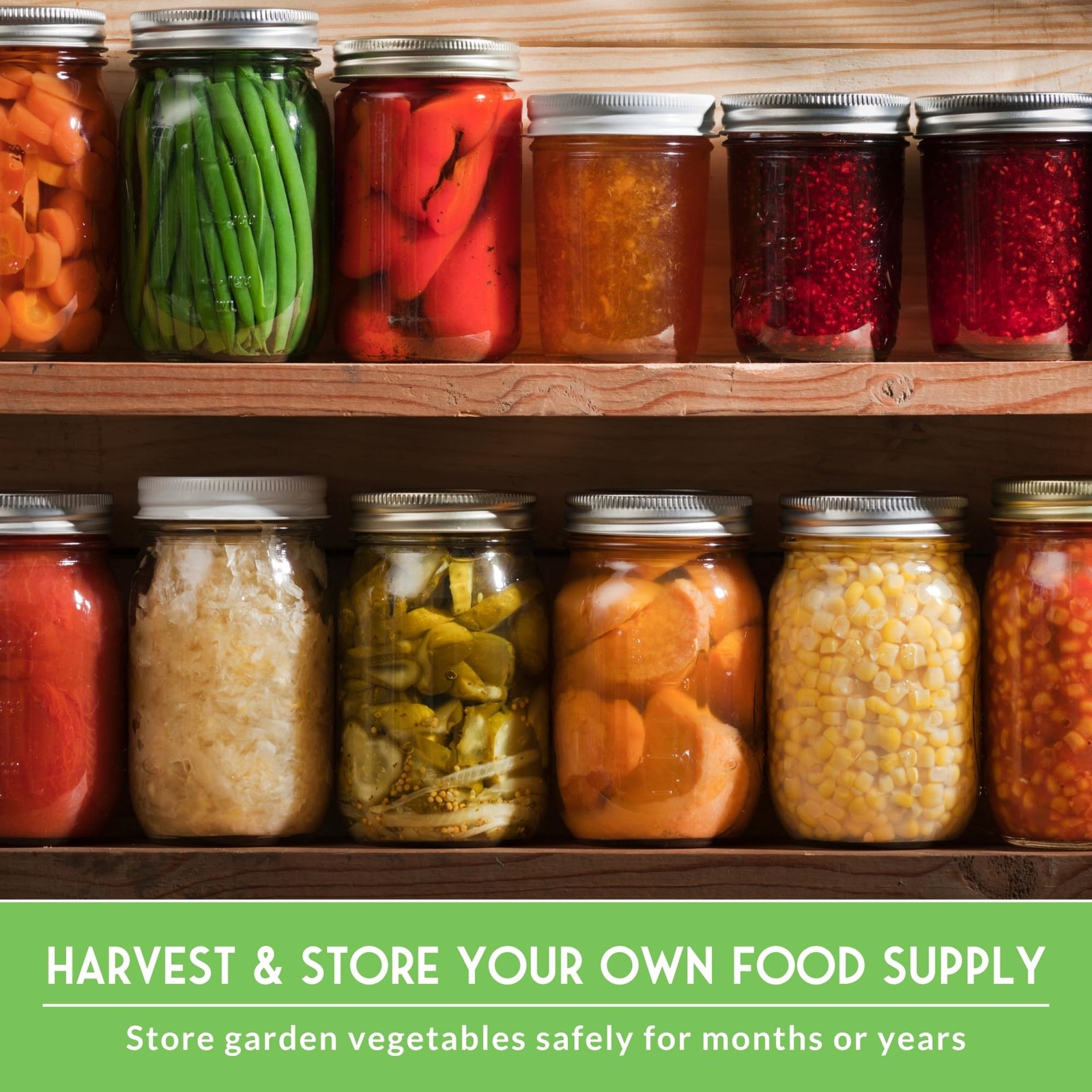 Home Garden Vegetable Seeds 30 Variety Pack – Heirloom Seed Vault Kit for Pla…