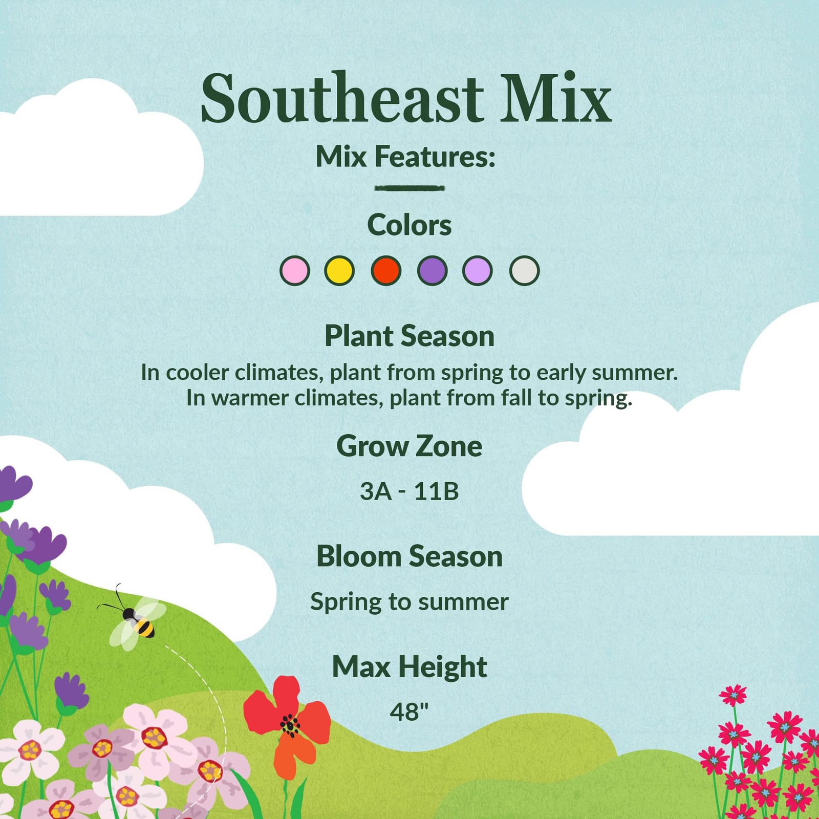 Wildflower Seeds Southeast Mix – Non-GMO, Full Sun, 1 lb for Gardens