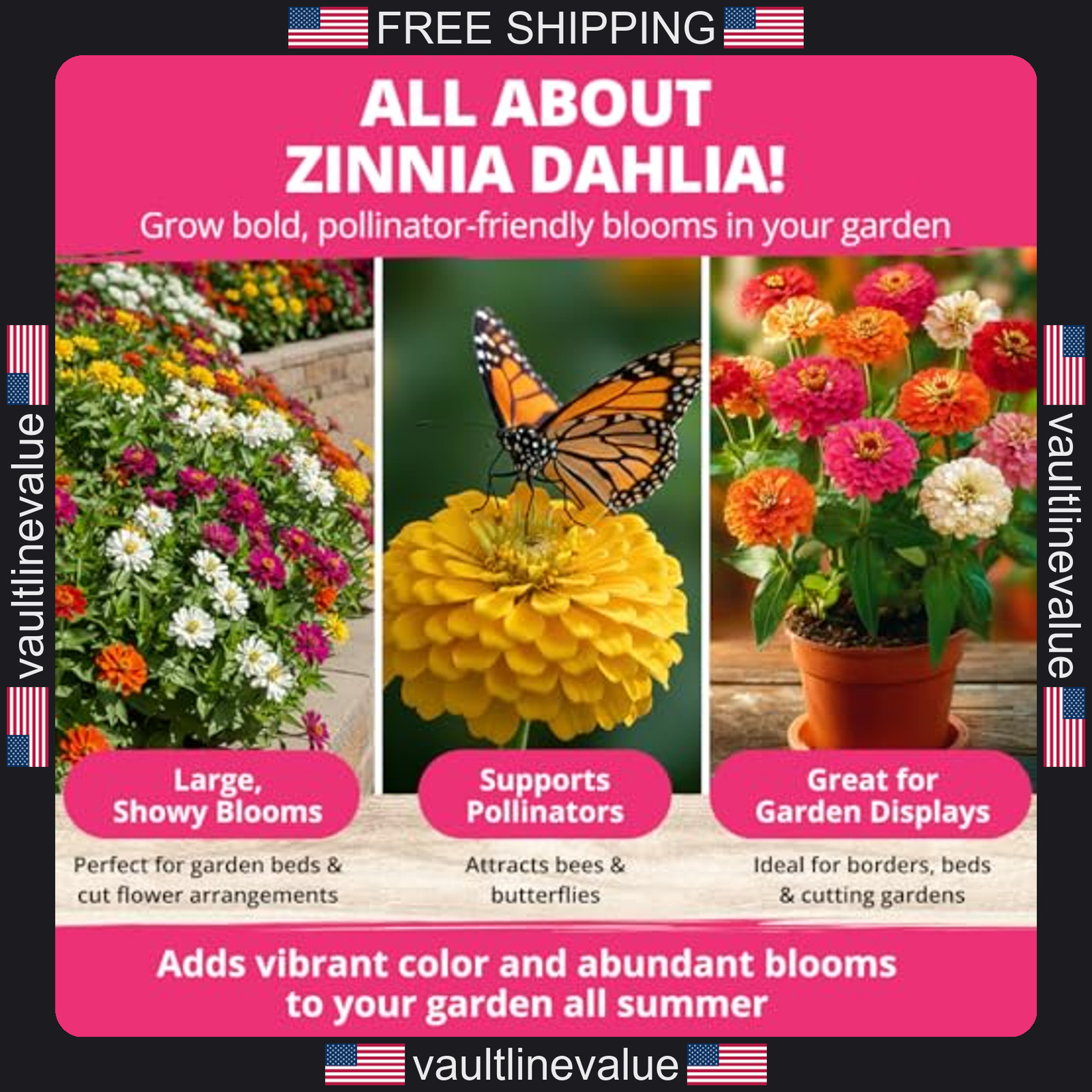 Home Grown Zinnia Dahlia Seeds Pack 524 Non GMO Flower Seeds for Gardens