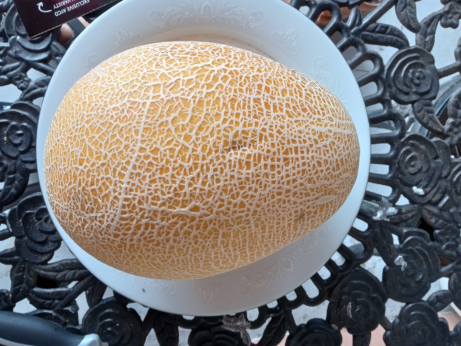 30 Organic Rare Golden Hami Melon Seeds. USA Seeds. Ships free. 2025 Season