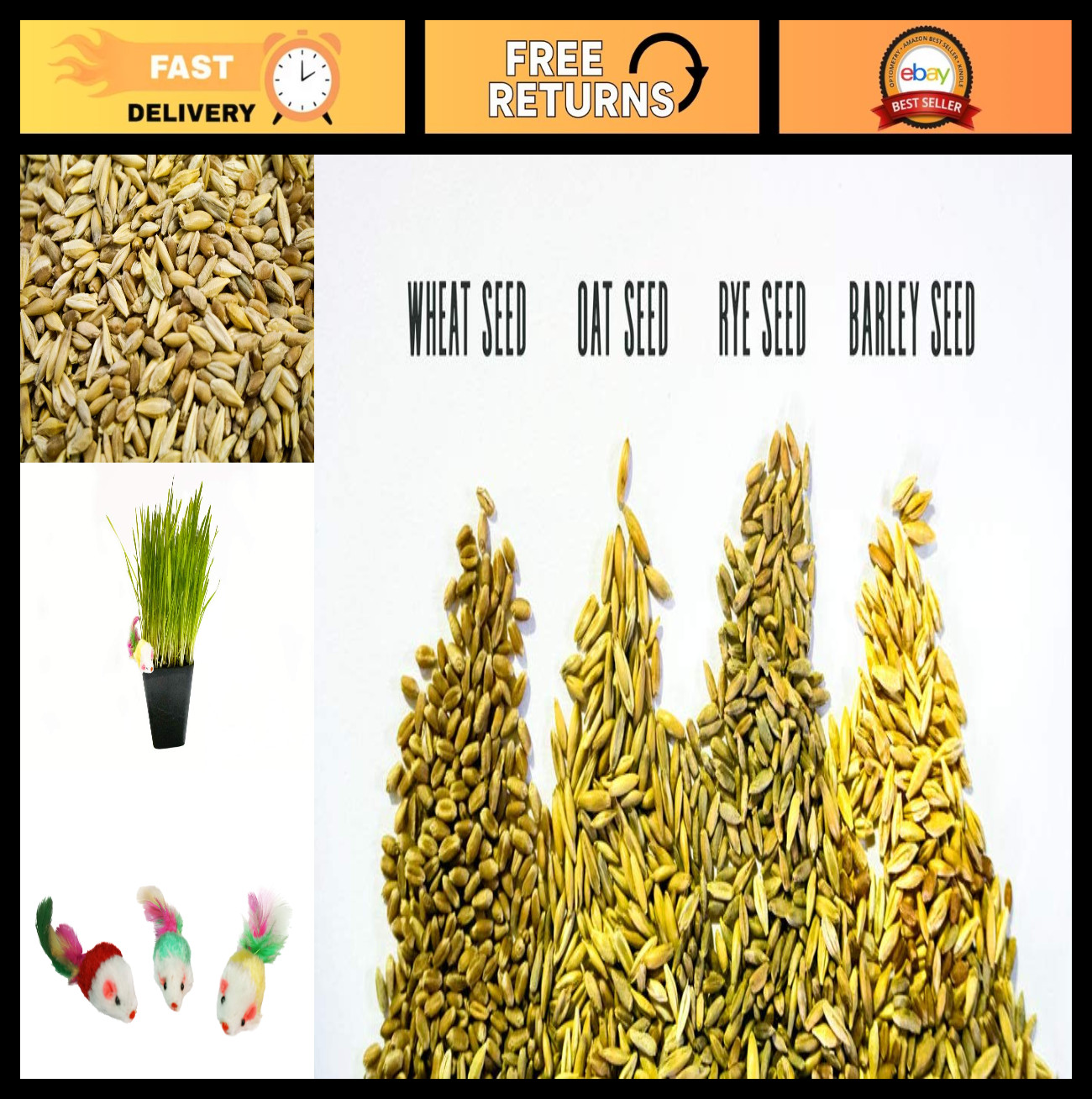 Organic Cat Grass Seed Mix – Wheat, Barley, Oats & Rye – Non-GMO + Bonus Toy (1