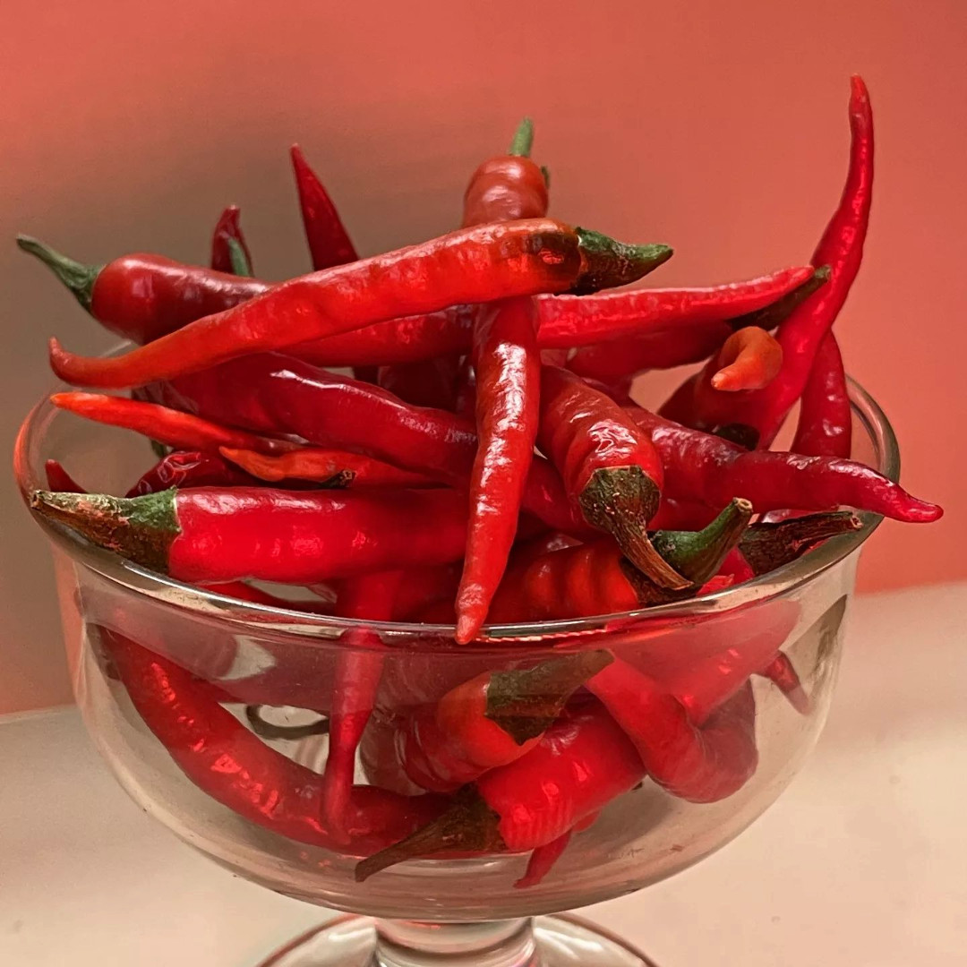 Fresh Hot Cayenne Pepper Seeds | Heirloom Non-GMO | Fresh Vegetable Seeds