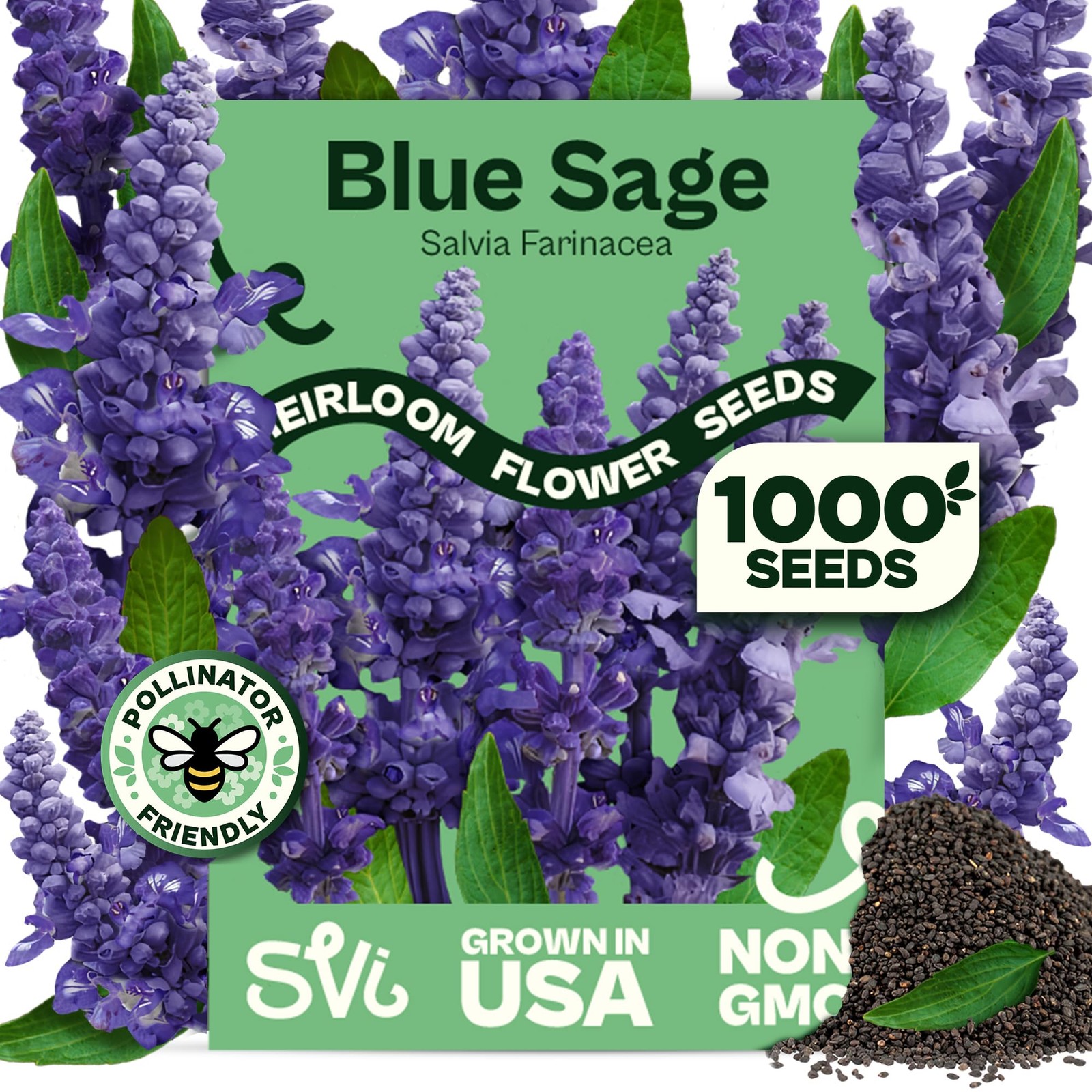1000 Blue Sage Seeds for Planting Salvia farinacea Heirloom Sage, Salvia Per…