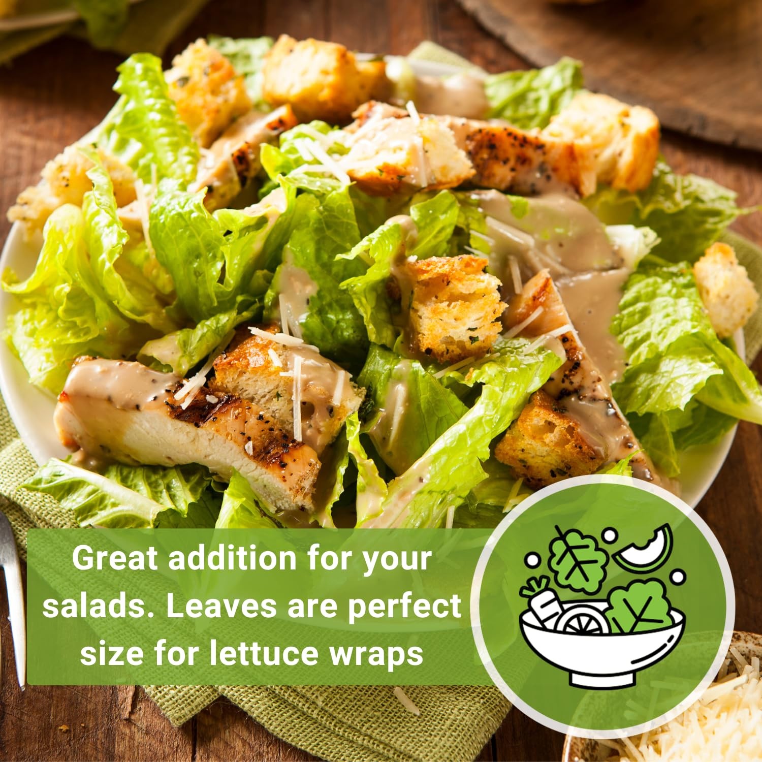 – Giant Caesar Lettuce Seeds for Planting – Non-GMO Open Pollinated Heirloom …
