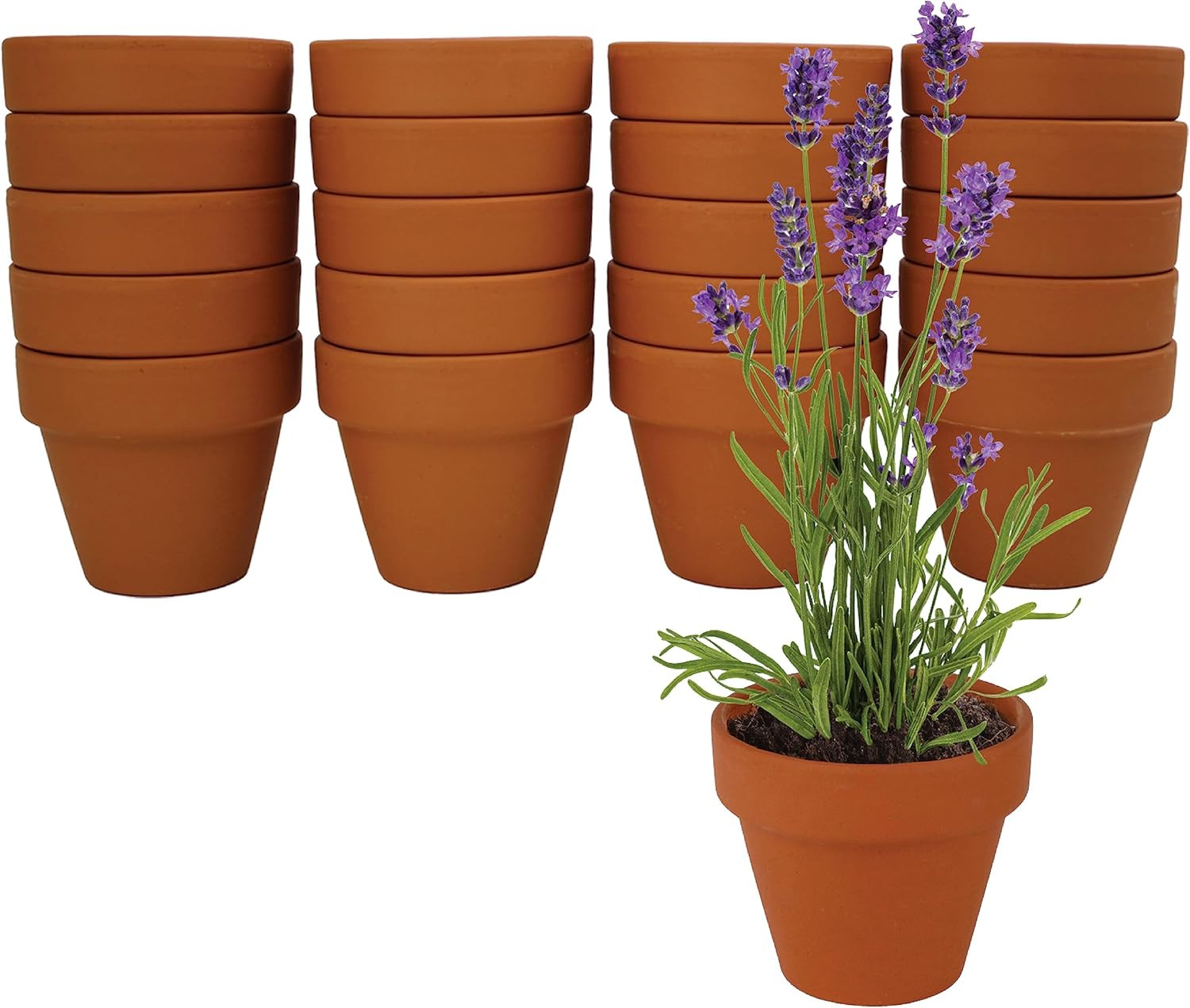 Seeds Terracotta Mini Grow Pots – Herb Flower Plant Starter Kit Assorted 20-Pack