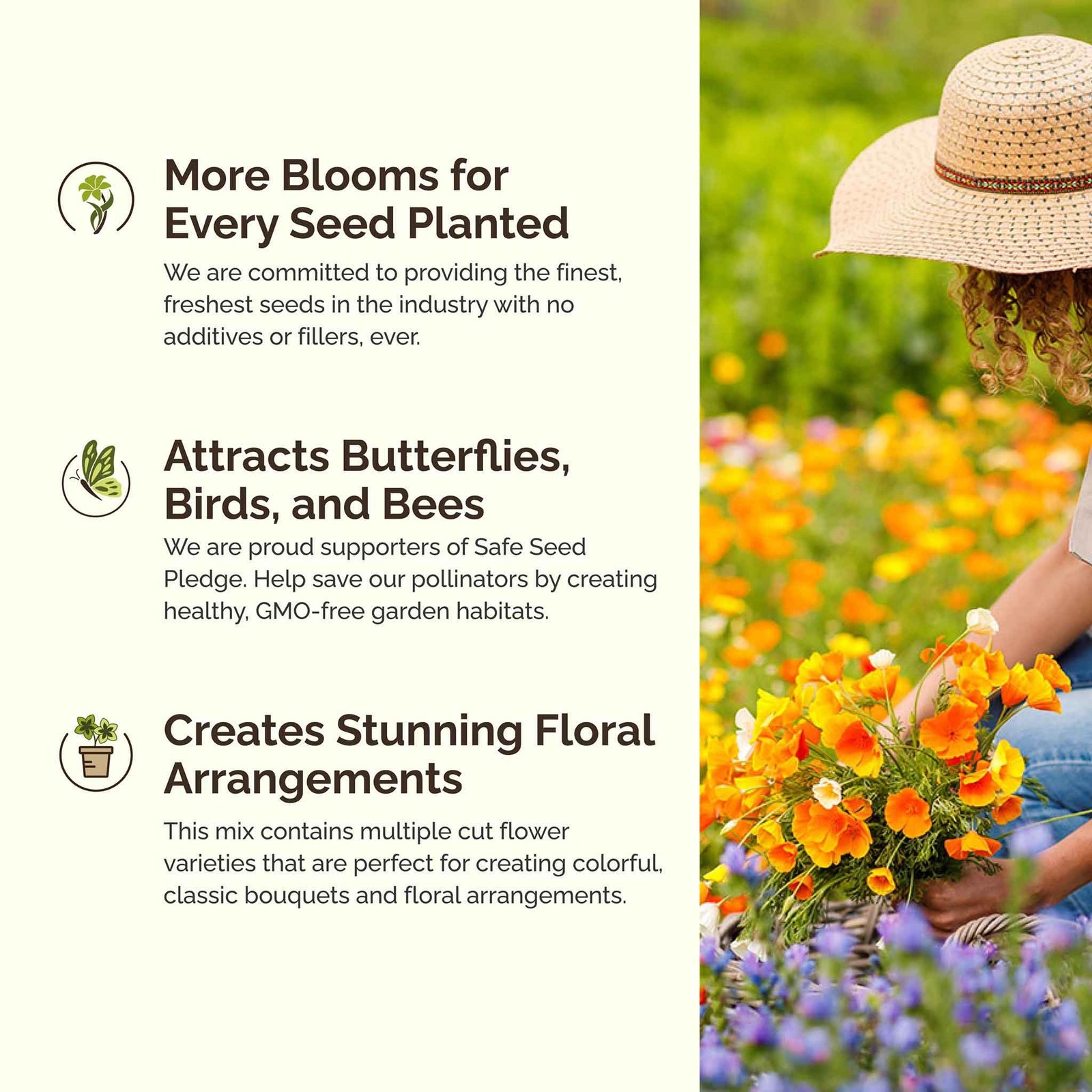 Bird & Butterfly Wildflower Mixed Seeds for Planting, 1/4 lb, 120,000+ Seeds …
