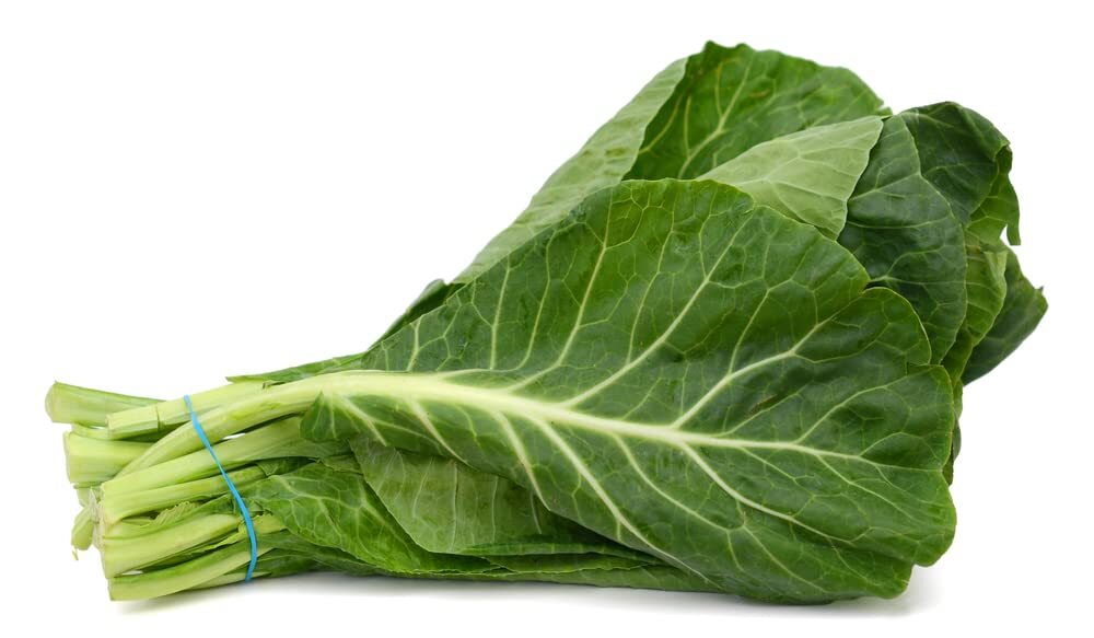 Collard Green Seeds for Planting – 100 Georgia Collard Seeds – Hi Yield and Grea