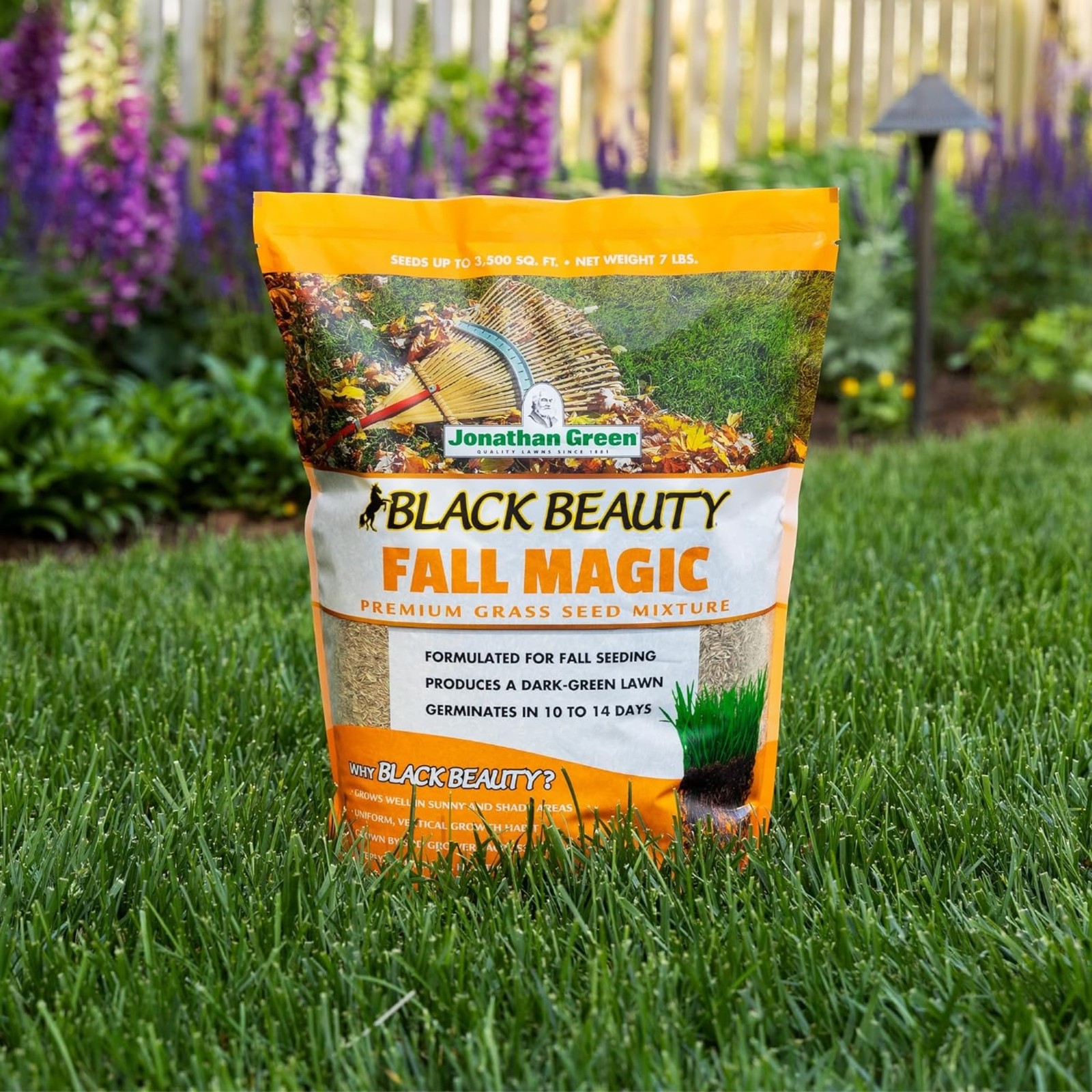 Jonathan Green Black Beauty Fall Magic Grass Seed, 7lb bag, 2 Pack