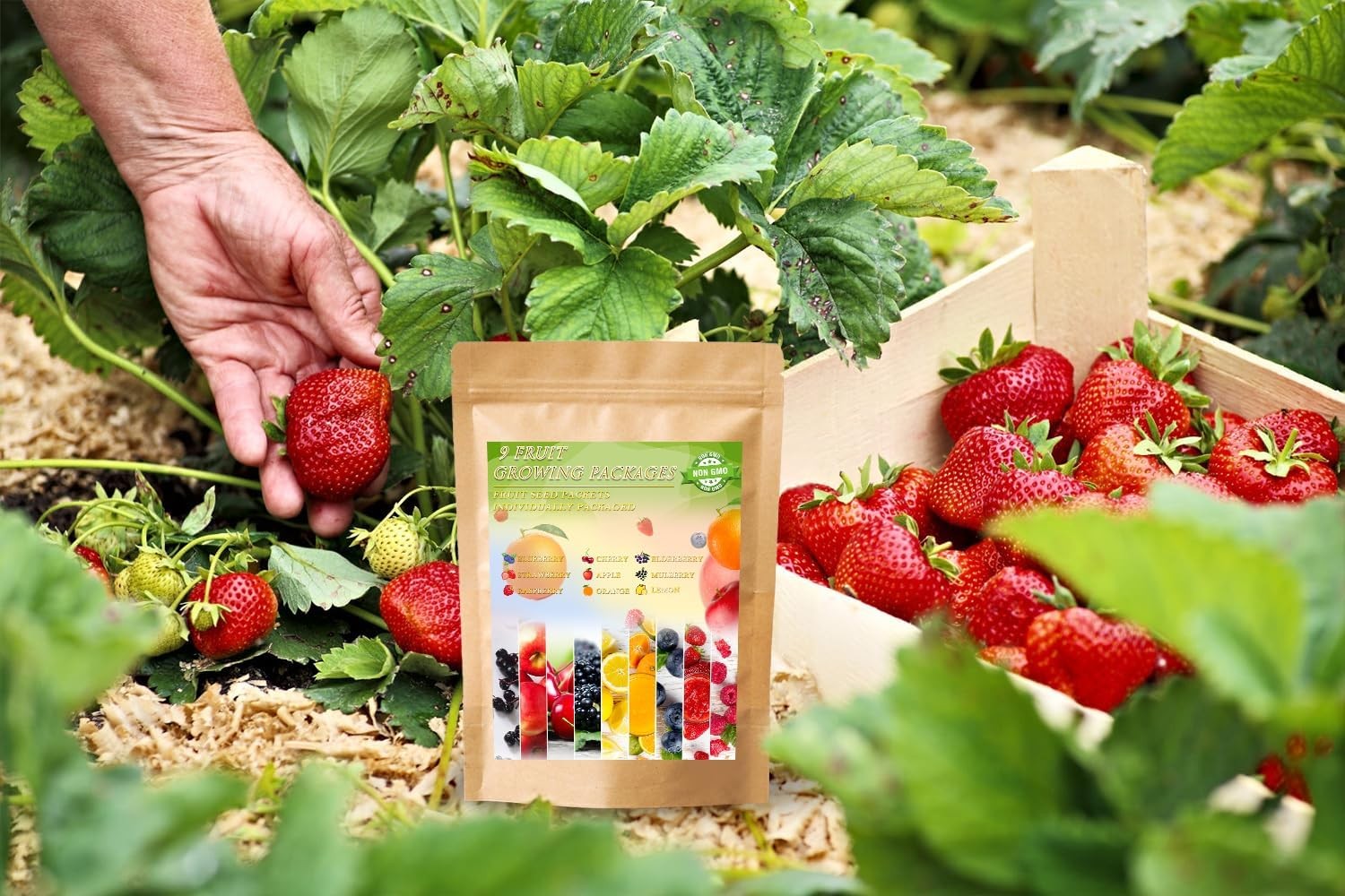 1200+ Mix Fruit Seeds Berry Seeds for Planting (9 Varieties) Heirloom Strawberry
