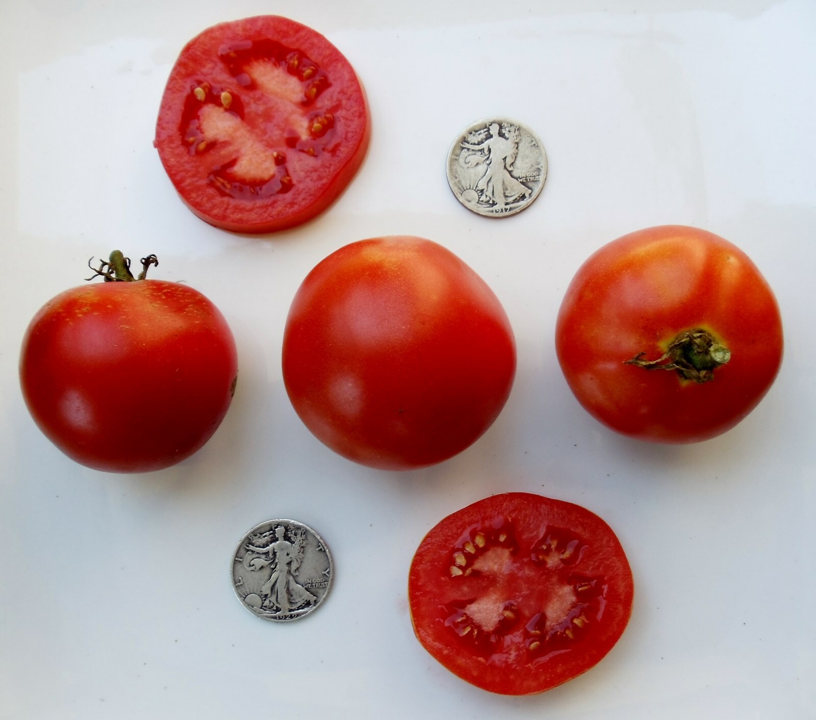 Mrtomatohead’s Top Ten 10, +25 Seed packets of my all time favorites! Will sub