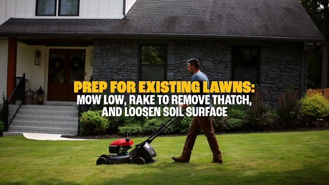Grass Seed Mix Northern 40lb Fast Growing Lawn Repair 4000sqft Overseeding