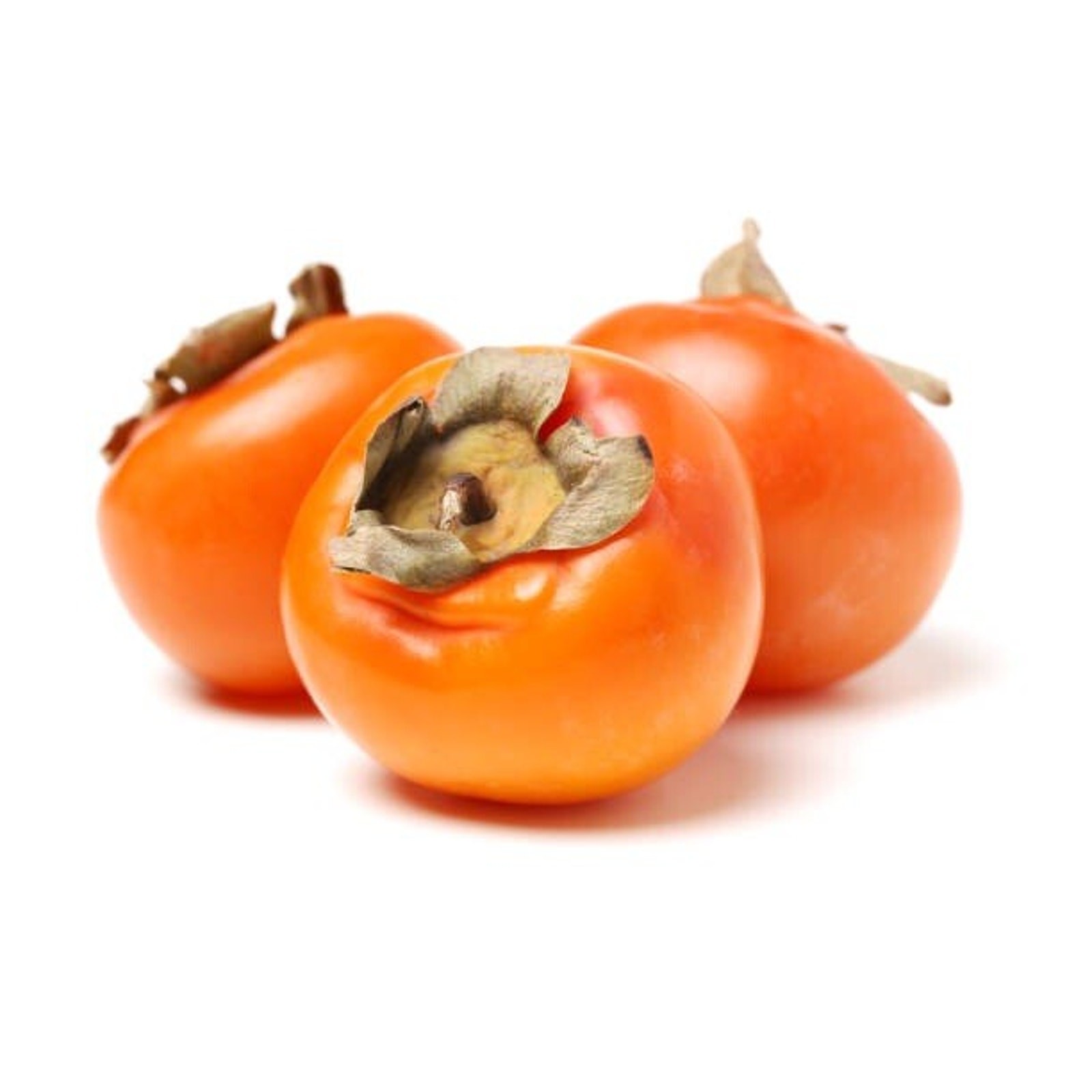 25 AMERICAN PERSIMMON SEEDS – Diospyros virginiana