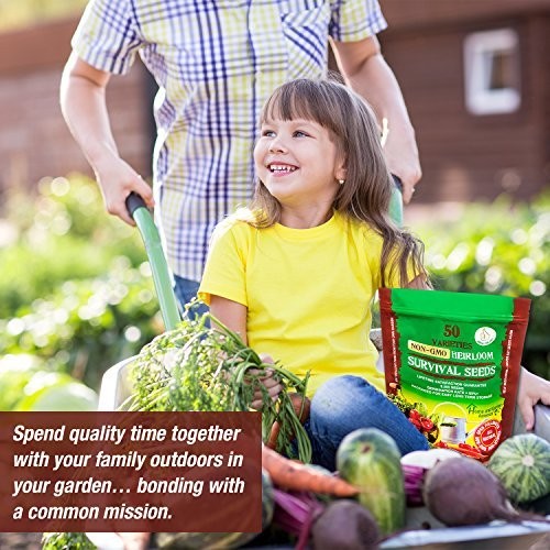 Heirloom Vegetable Seeds Non GMO Survival Kit – Part of Our Legacy and Herita…