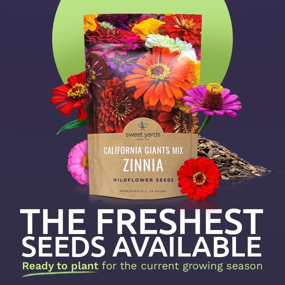 Bulk 12,000 Zinnia Seeds – California Giants Mix, Large Blooms, Reusable Pack