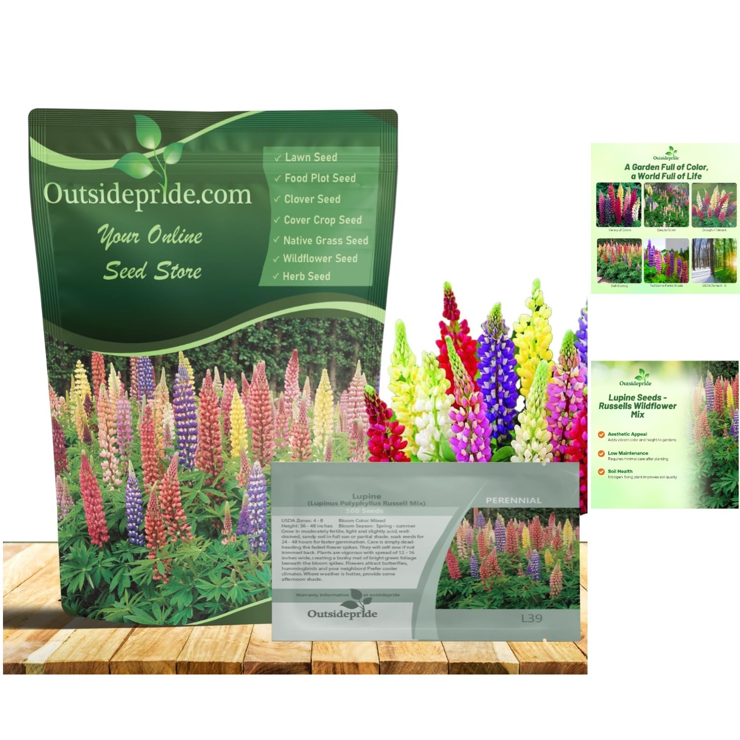 Mixed Russell Lupine Seeds – 1/4 Lb. Heirloom Perennials for Vibrant Pollinat…