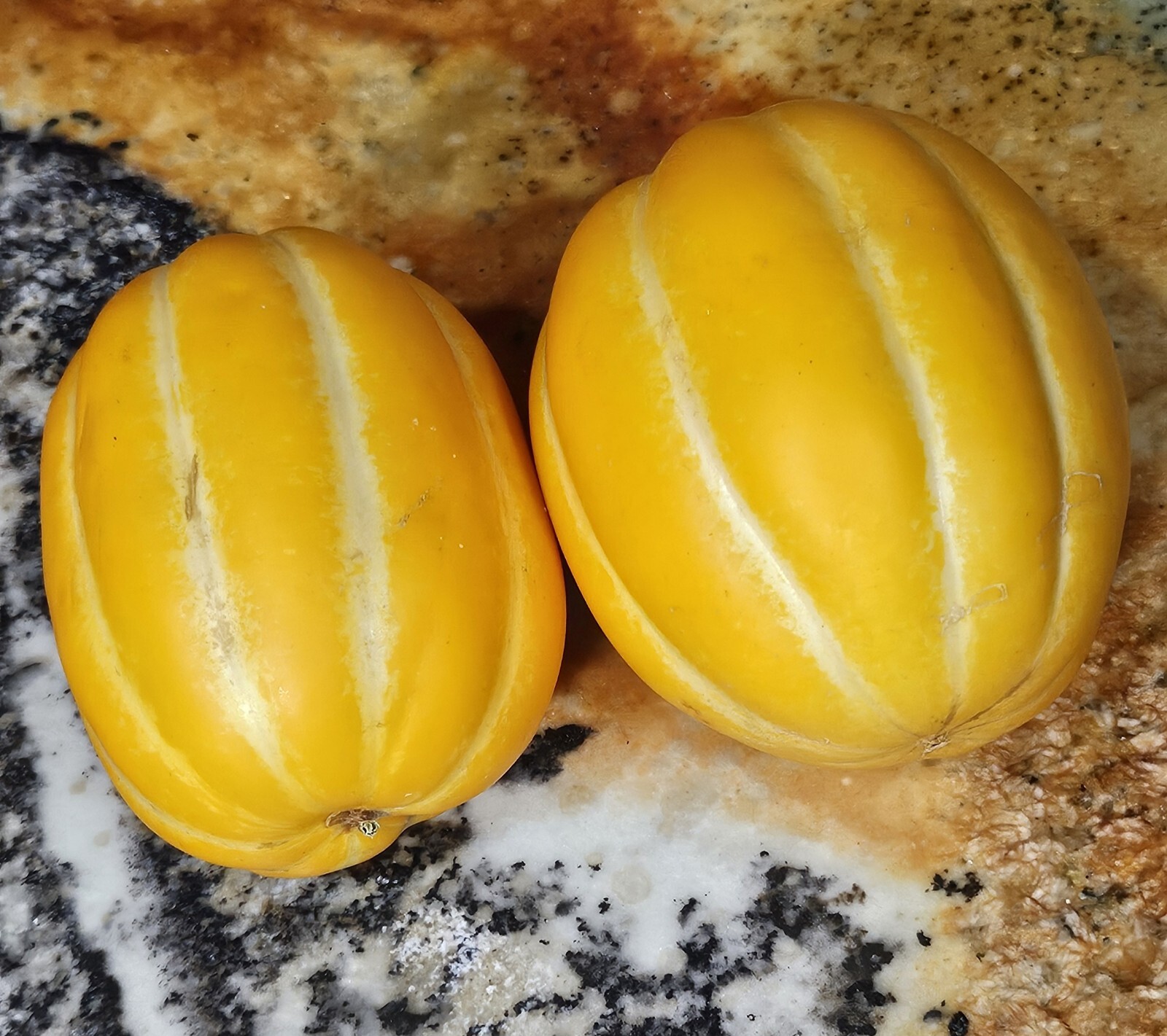 40 PCS Korean Melon Seeds Golden Sweet Non-GMO / ORGANIC / FLORIDA GROWN / RARE