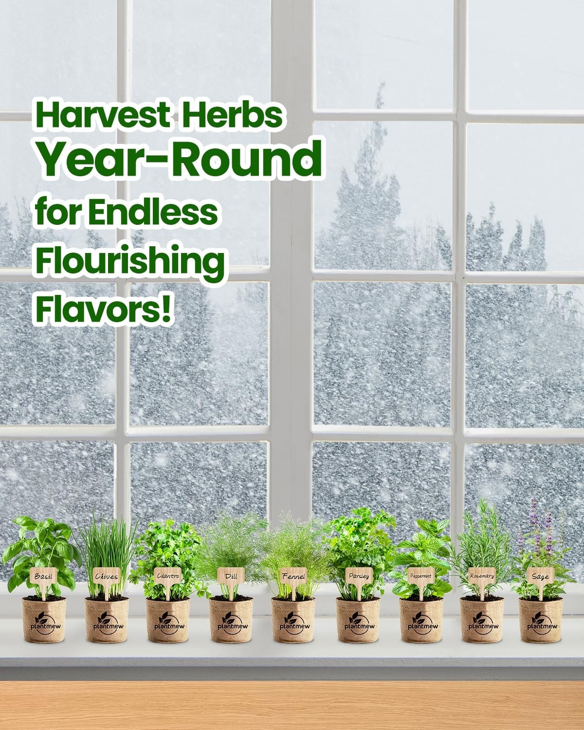 Indoor Herb Garden Kit for Women – Complete Starter Set with Pots, Soil & Tools