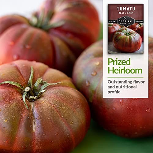 Black Krim Tomato Seeds for Planting – Heirloom Non-GMO Beefsteak Variety – 1