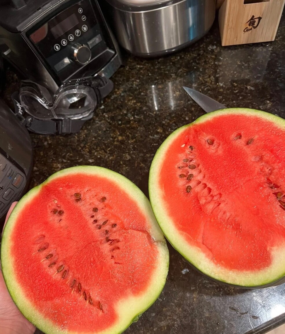 10+ Organic Sugar Baby Watermelon Seeds, Not excessively seedy, Fresh 2026 🇺🇸