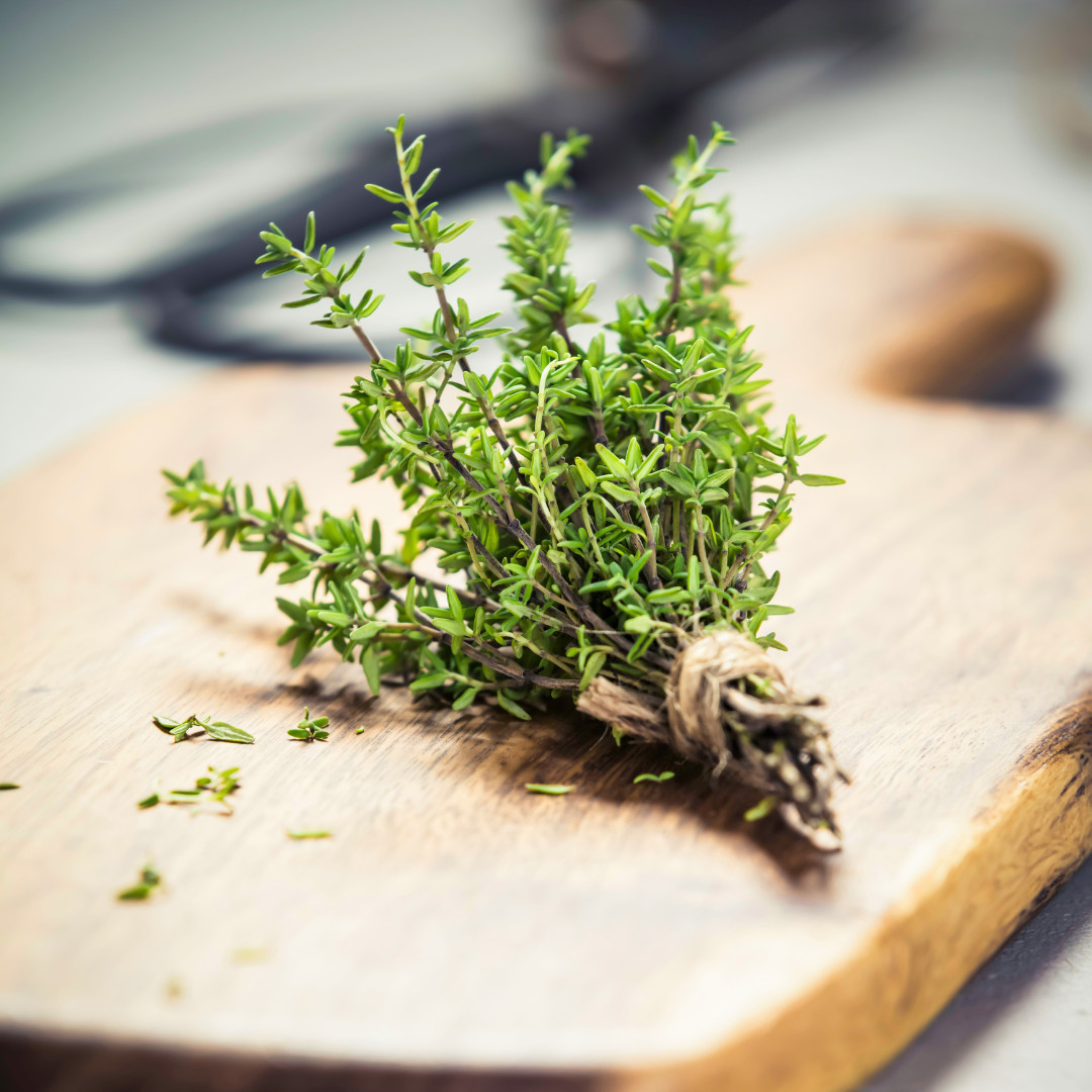 Fresh Premium Thyme Seeds | Herb | Culinary | Heirloom Non-GMO | Herb Seeds