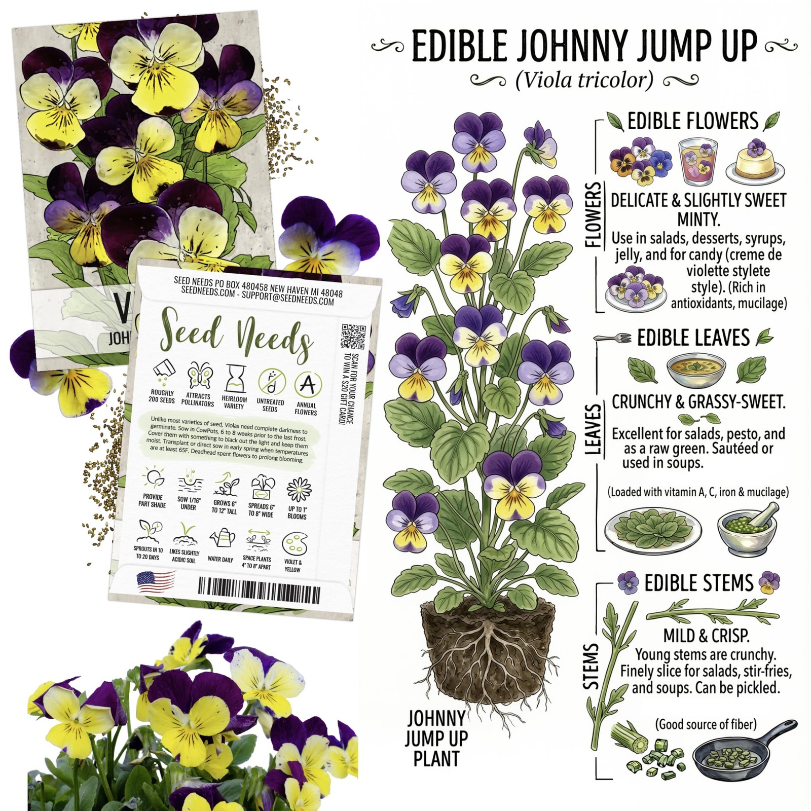 Edible Flower Seeds Variety Pack of 7 Wildflowers for Garnishing