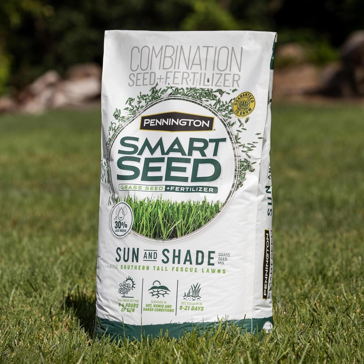 Tall Fescue Grass Seed Mix 7 lb for Sun & Shade – Perfect for Southern Lawns