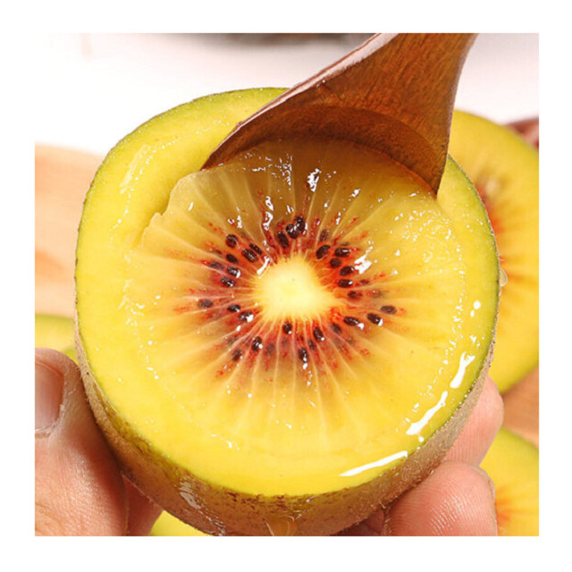 40 (forty) seed of ROUGE KIWI (New Zealand)