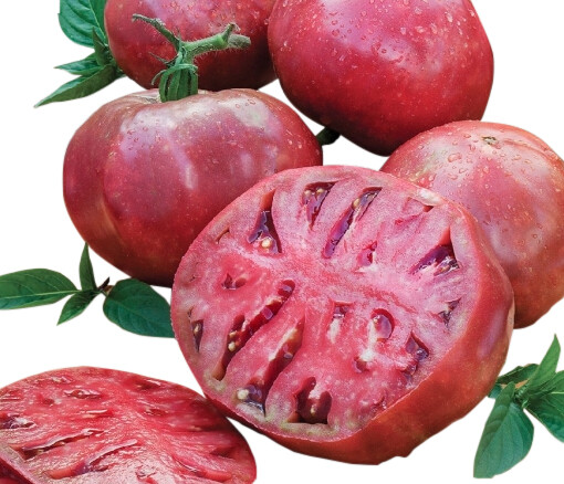 Cherokee Purple Tomato Seeds