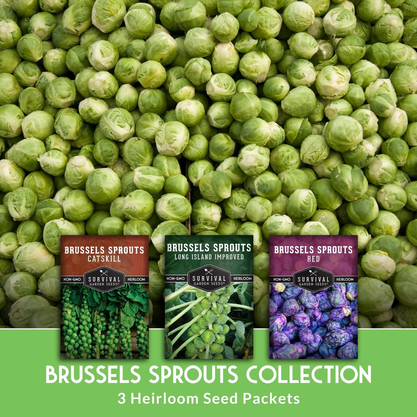 Brussels Sprouts Seeds Variety Pack – Heirloom Cool Season Vegetable Seeds