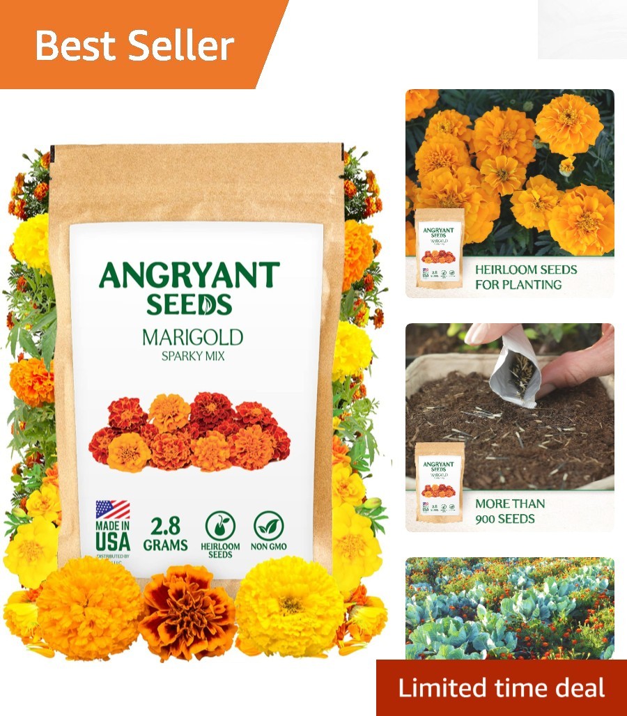 Marigold Sparky Mix Seeds – 999+ Heirloom Non-GMO Flower Seeds for -Round Blooms