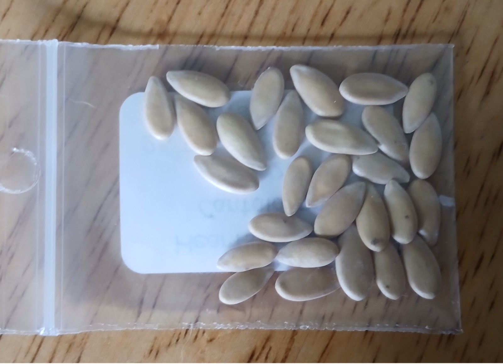 25 Premium Hearts of Gold | NON-GMO | Cantaloupe Seeds-B 36