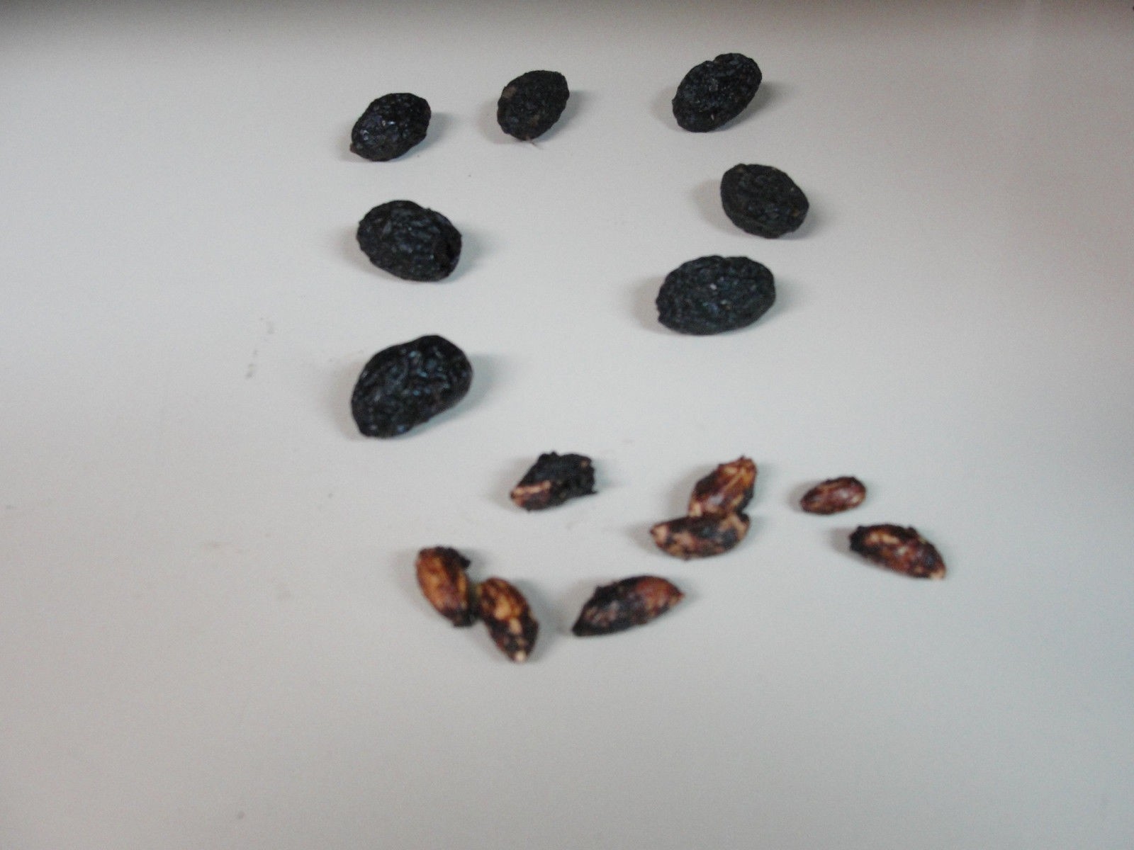 Ten (10) Manzanillo Olive Tree Seeds – Olives, Tree of Peace – Olea europaea,