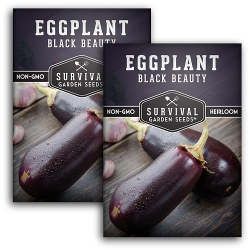 Black Beauty Eggplant Seed for Planting – Packets with Instructions to Grow 2
