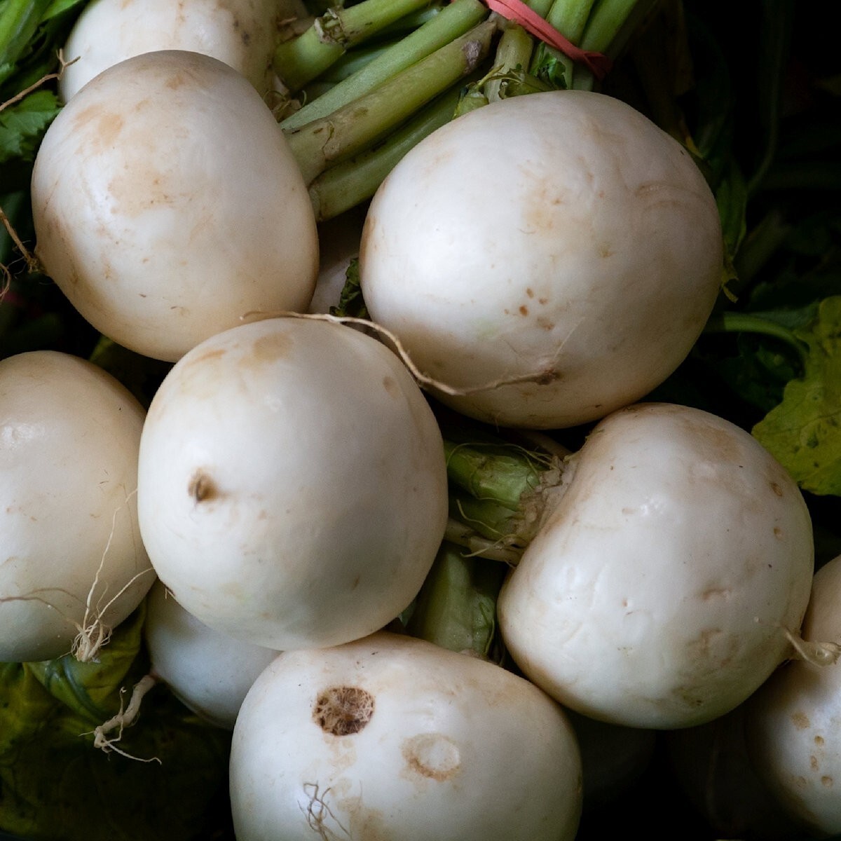 1/4 Lb White Egg Turnip Seeds – Everwilde Farms Mylar Seed Packet