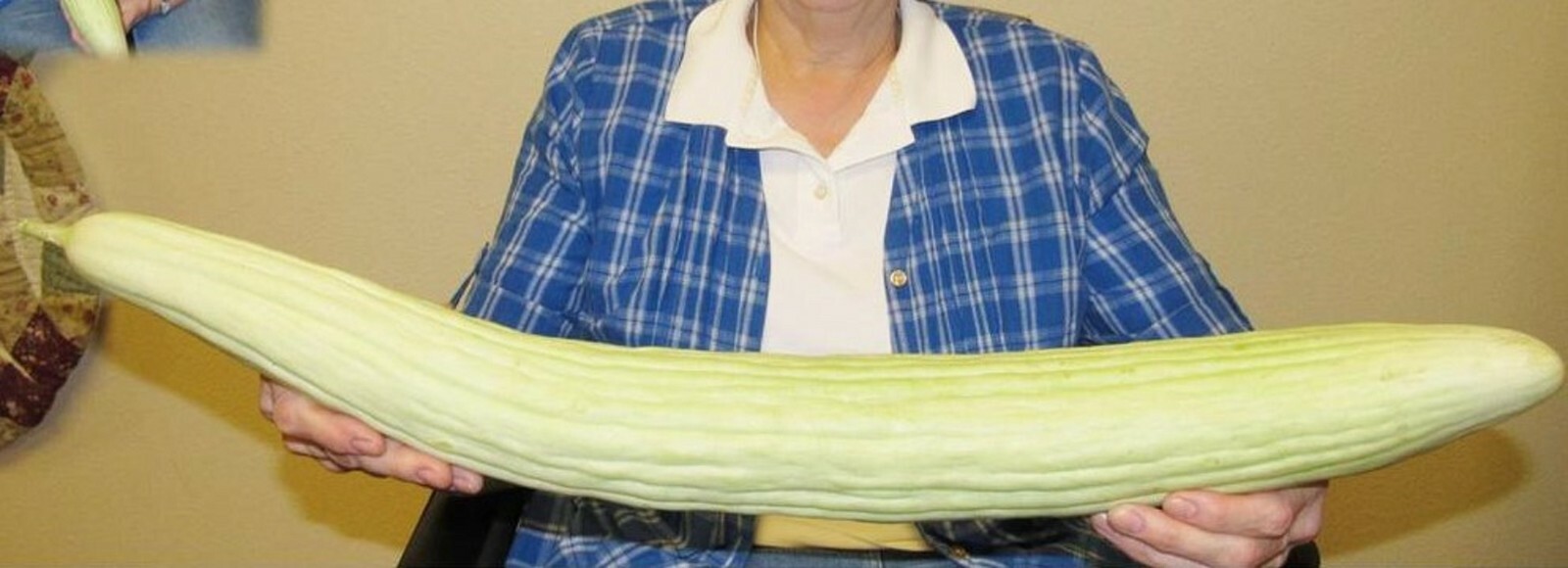 Cucumber Seeds (30) Armenian Yard Long Heirloom NON-GMO Vegetable Snake Serpent