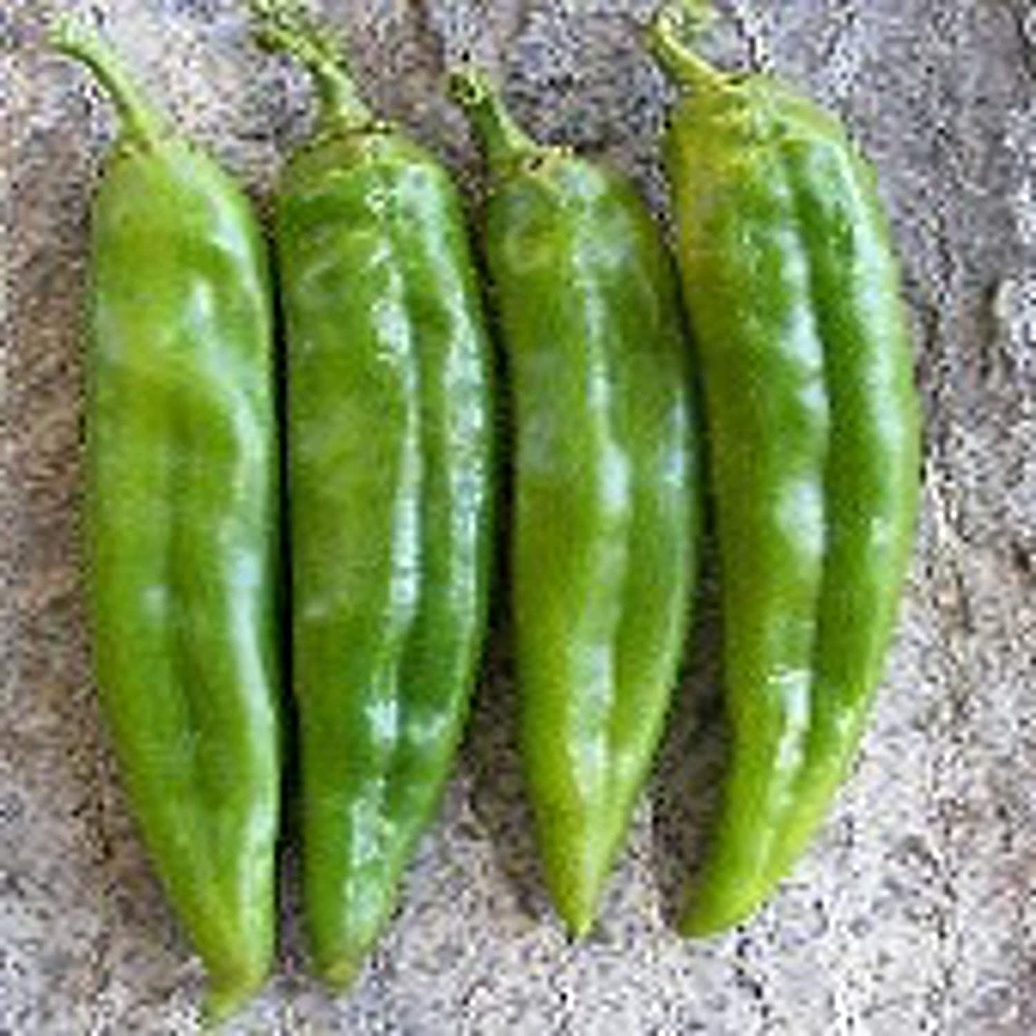 NuMex Big Jim Hot Peppers Seeds (25+ Seeds)