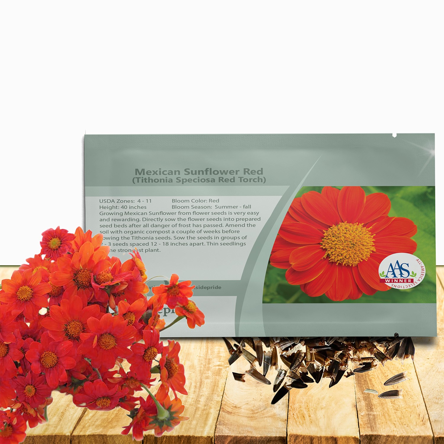 2000 Seeds Tithonia Torch AAS Winner Mexican Sunflower Seeds For Planting